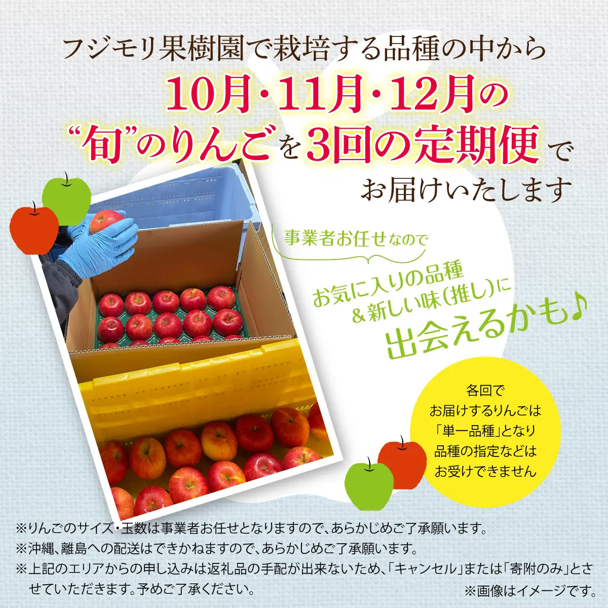 【先行予約】＜10･11･12月お届け＞北海道壮瞥町　旬のりんご約3kg　おまかせ定期便 SBTF031