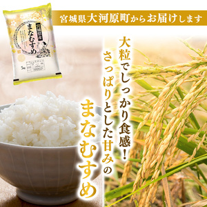 まなむすめ 定期便12回/5kg×2袋 令和8年産 新米 先行予約 宮城県産 米 精米 白米 米 コメ お米 おこめ ブランド米 ご飯 ごはん