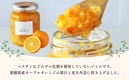 ＜ネーブルマーマレードジャム 125g×4個＞ ペクチン・添加物不使用 西予市産 国産 ネーブルオレンジ フルーツジャム ヨーグルト トッピング 朝食 株式会社味彩 愛媛県【常温】『1か月以内に順次出荷』 SAZ0006
