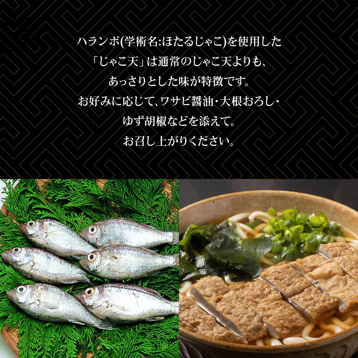 ハランボじゃこ天15枚入【D02-5】【配送不可地域：離島】【1042868】 YWTAL004