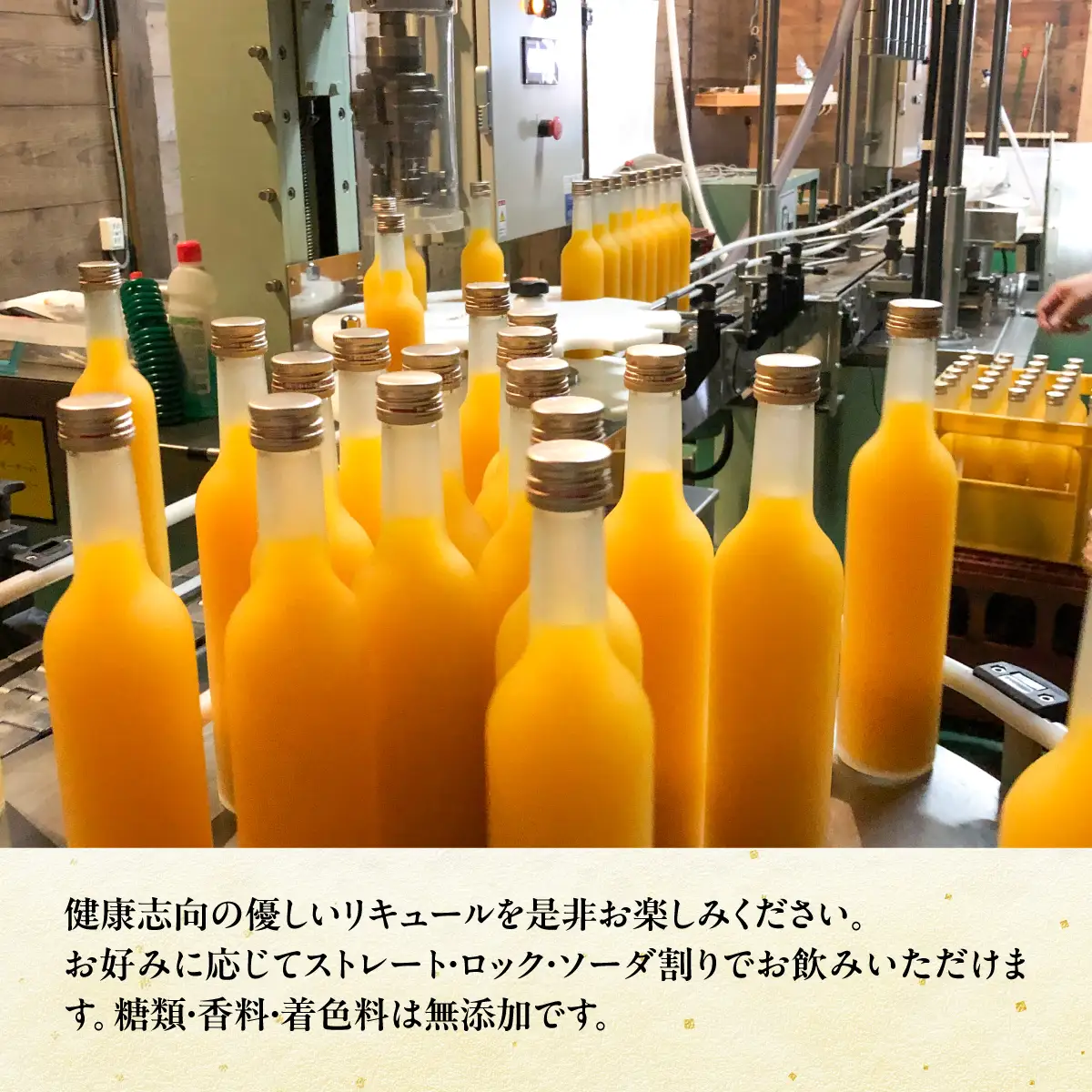 美肌500ml2本セット【C03-10】【1043419】 YWTO006