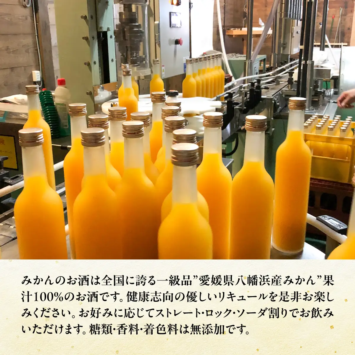 美肌500ml・漁師の酒720mlセット【C03-9】【1043420】 YWTO005