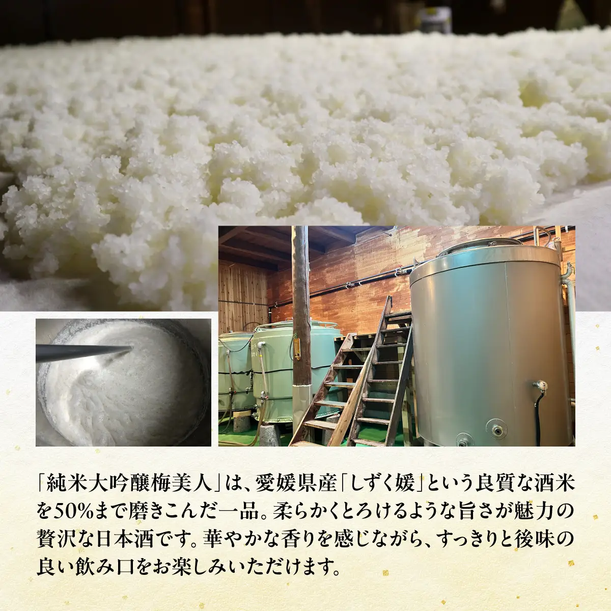 純米大吟醸「梅美人」と「梅美人の梅酒」のセット【D03-3】【1043423】 YWTO001