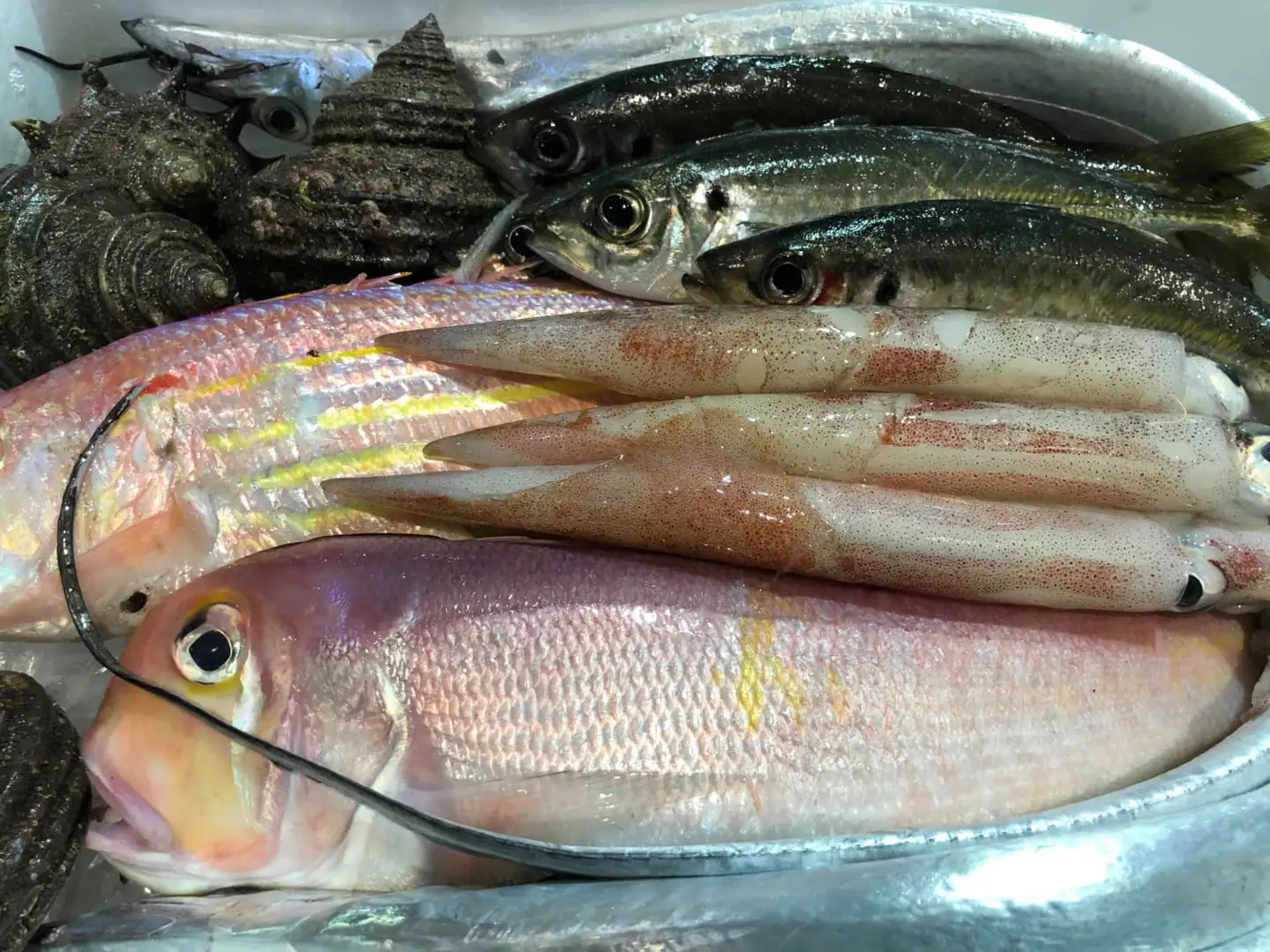 竹中水産の「豪華鮮魚ボックス約4キロ」!【H22-234】【配送不可地域：離島・北海道・沖縄県】【1070934】 YWTM052