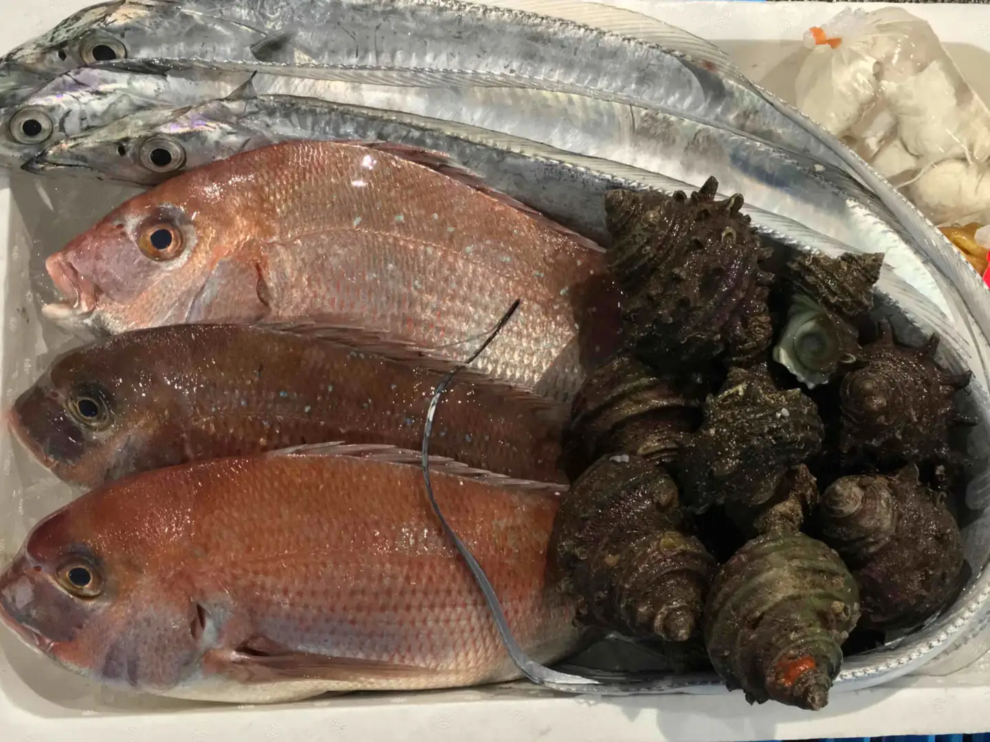 竹中水産の一押し「お手軽鮮魚2」2キロ前後【D22-236】【配送不可地域：離島・北海道・沖縄県】【1073397】 YWTM054