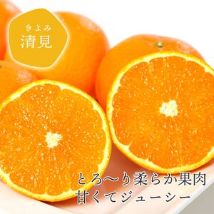 果汁たっぷり! ジューシー 愛媛県八幡浜市産 清見 5kg 【訳あり】【D25-138】【1138006】 YWTAP081