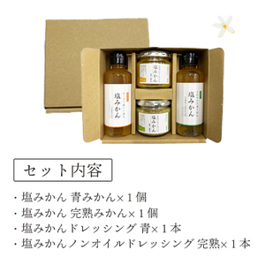 みかんがふわっと香るワンランク上のお料理に!愛媛の新しい調味料 塩みかん4種セット【C25-65】【1228227】 YWTAP037