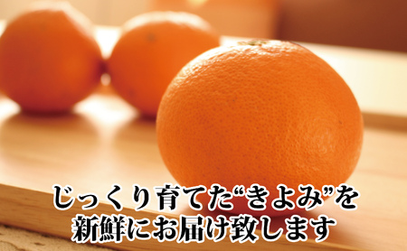 2027年3月出荷開始　完熟・果汁たっぷり!!「きよみ」約5kg　【D39-34】【1262235】 YWTF015