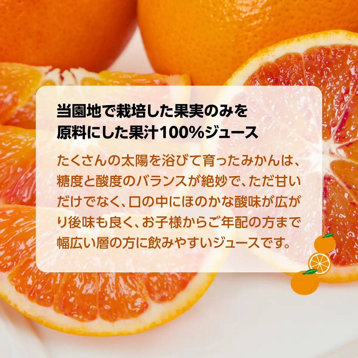 じゅらす農房のみかんジュース6本セット【F32-9】【1296464】 YWTH008