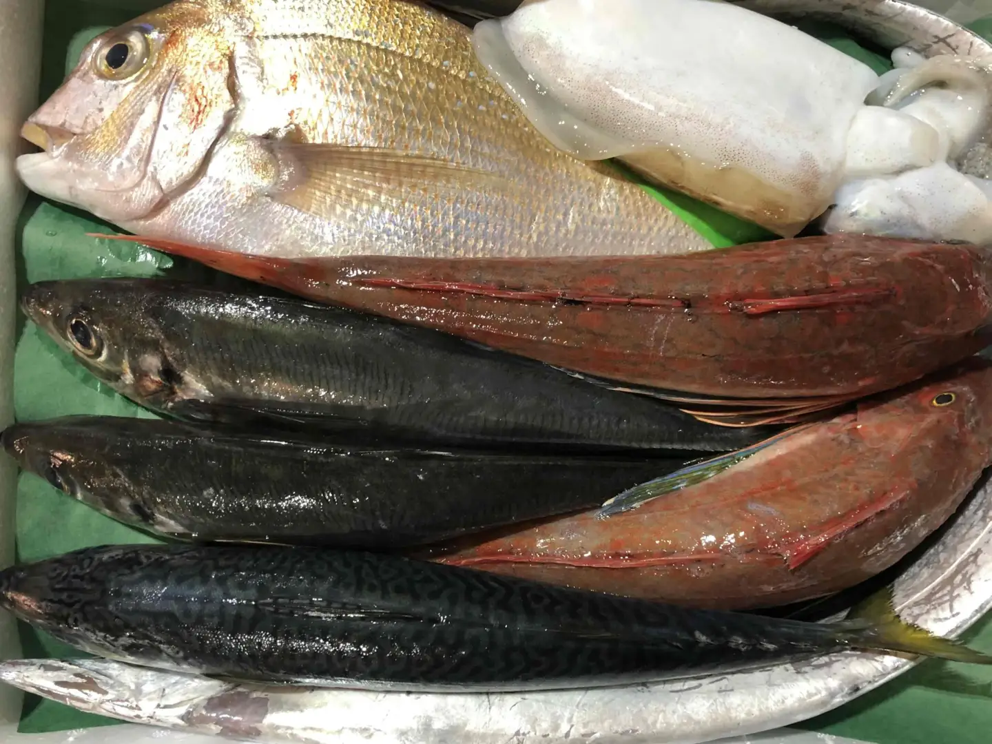 竹中水産の八幡浜発!「朝獲れデイリー鮮魚BOX」2キロ【D22-278】【配送不可地域：離島・北海道・沖縄県】【1298415】 YWTM095