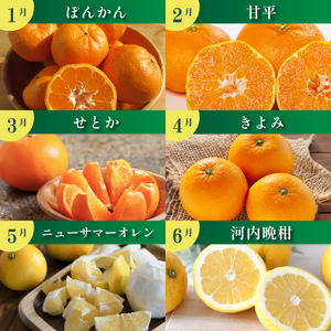 【発送月固定定期便】みかんのある暮らし全12回【H31-33】【配送不可地域：離島】【4000707】 YWTAC022