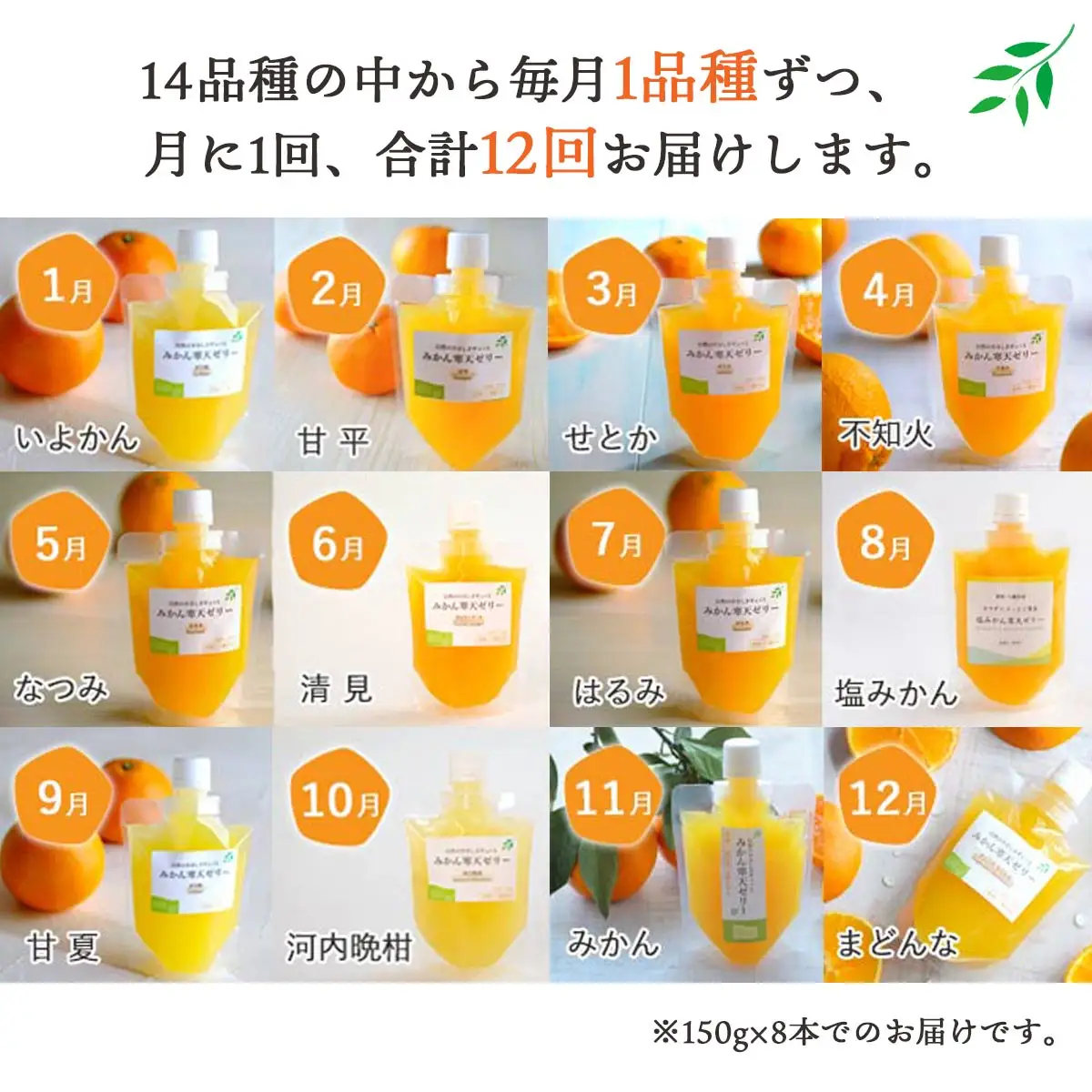 【発送月固定定期便】みかん寒天ゼリー定期便～毎月1品種8本 全12回【H25-110】【4012159】 YWTAP055