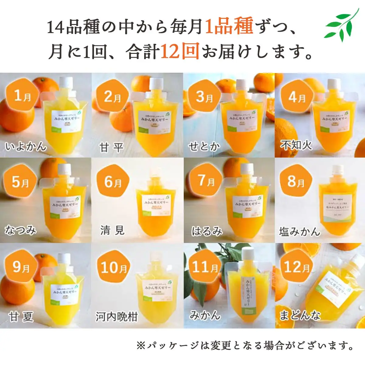 【発送月固定定期便】みかん寒天ゼリー定期便～毎月1品種10本 全12回【H25-147】【4012160】 YWTAP091