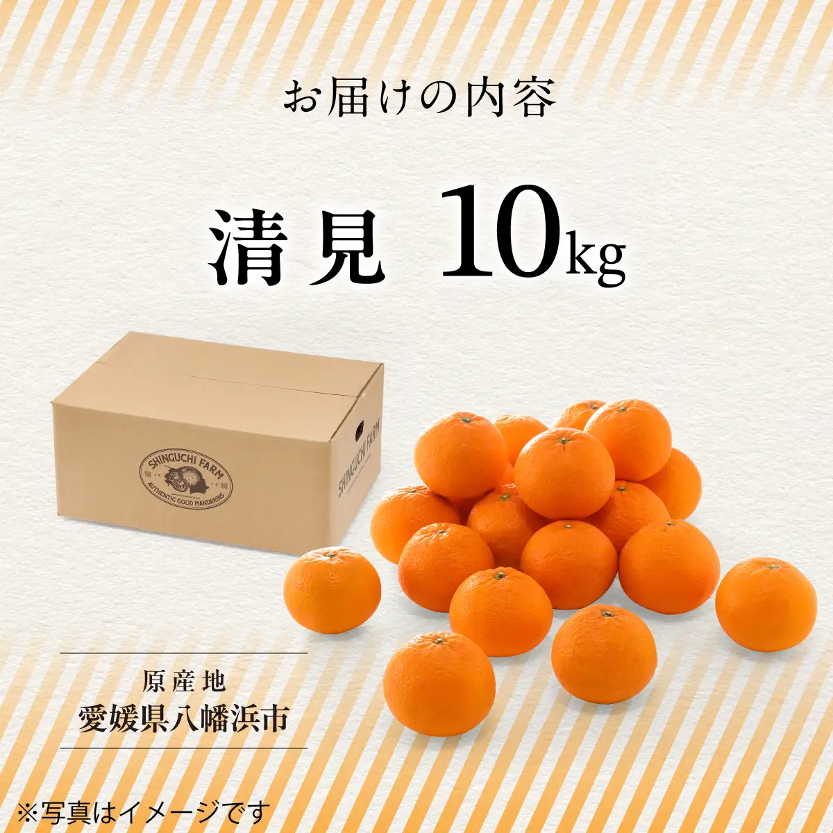 【先行受付】【産地直送】五代目が厳選した清見 10kg 愛媛県産【G70-15】【1470710】 YWTK015