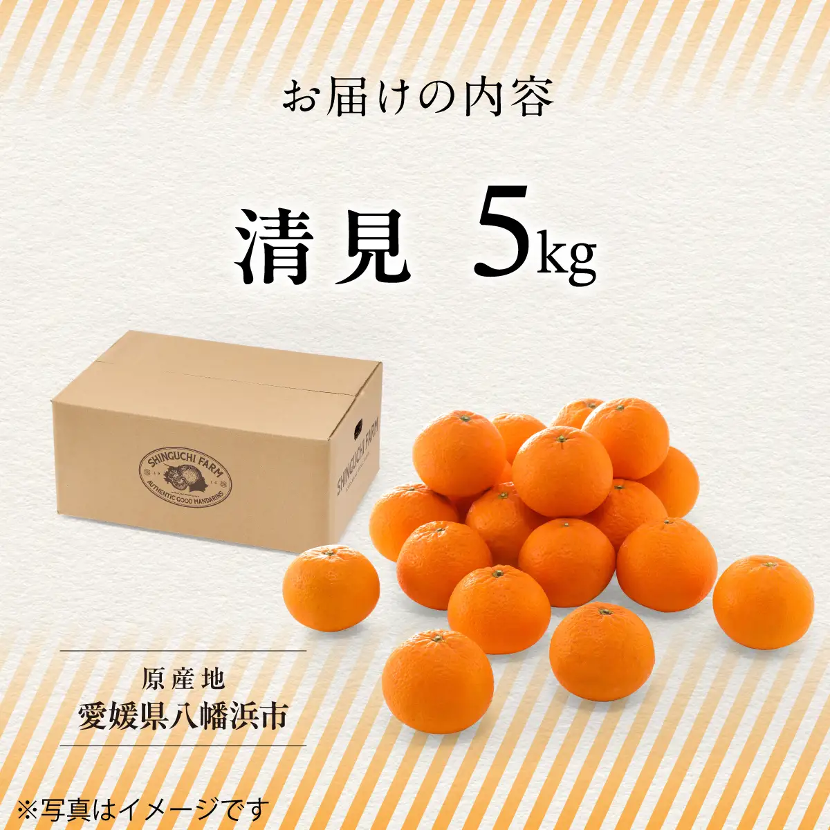 【先行受付】【産地直送】五代目が厳選した清見 5kg 愛媛県産【D70-14】【1470711】 YWTK014