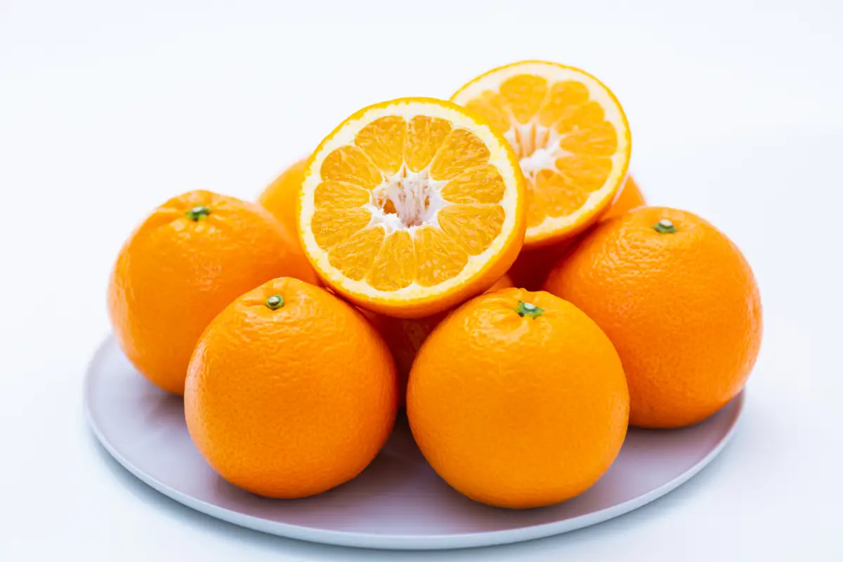 【太陽をたっぷり浴びた】伊予柑【極】4kg【C49-42】【1509739】 YWTZ034