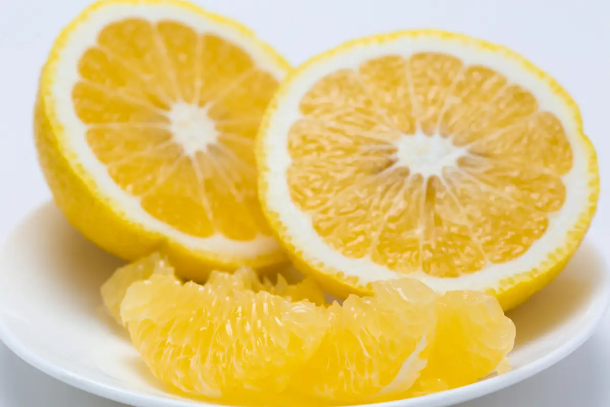 【太陽をたっぷり浴びた】はるか【極】4kg【C49-48】【1509745】 YWTZ040