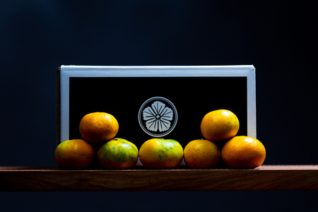 【愛媛名産】極早生みかん【雫・・小玉】 10kg【F64-24】【1510680】 YWTY013