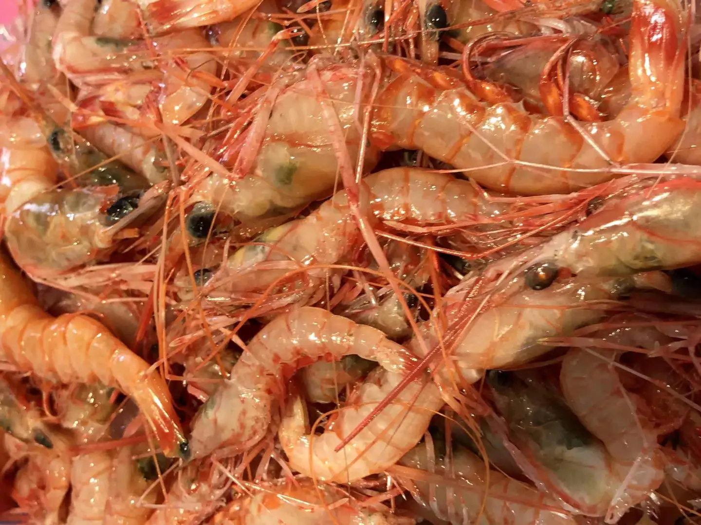 竹中水産の地海老(八幡浜産)2キロ!【F22-267】【配送不可地域：離島】【1083422】 YWTM085