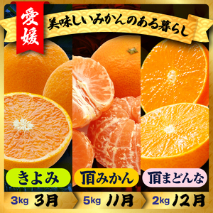 【発送月固定定期便】美味しいみかん柑橘のある暮らし【みかん・まどんな・きよみ】【G31-42】全3回【4058603】 YWTAC031
