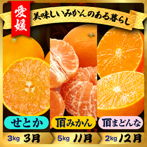 【発送月固定定期便】美味しいみかん柑橘のある暮らし【みかん・まどんな・せとか】【G31-43】全3回【配送不可地域：離島】【4058604】 YWTAC032