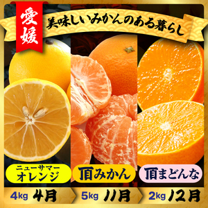 【発送月固定定期便】美味しい柑橘【みかん・まどんな・ニューサマーオレンジ】【G31-44】全3回【4058606】 YWTAC033