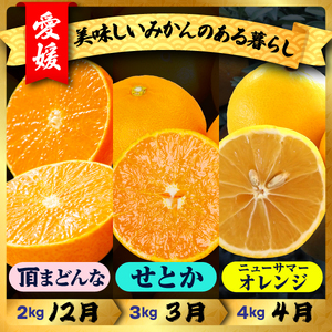 【発送月固定定期便】美味しい柑橘【まどんな・せとか・ニューサマーオレンジ】【G31-45】全3回【配送不可地域：離島】【4058607】 YWTAC034