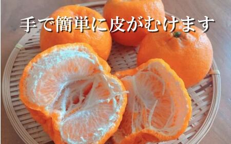 【先行受付】愛咲果樹園「せとか」約2kg【C71-22】【1598822】 YWTS018