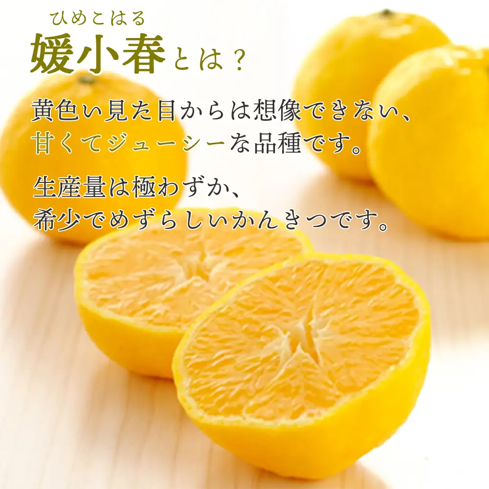 【先行受付】希少柑橘 媛小春(ひめこはる) 2.5kg【訳あり】【D25-183】【1608026】 YWTAP124