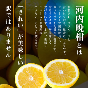 河内晩柑5kg【訳あり】【A31-50】【配送不可地域：離島】【1613967】 YWTAC039