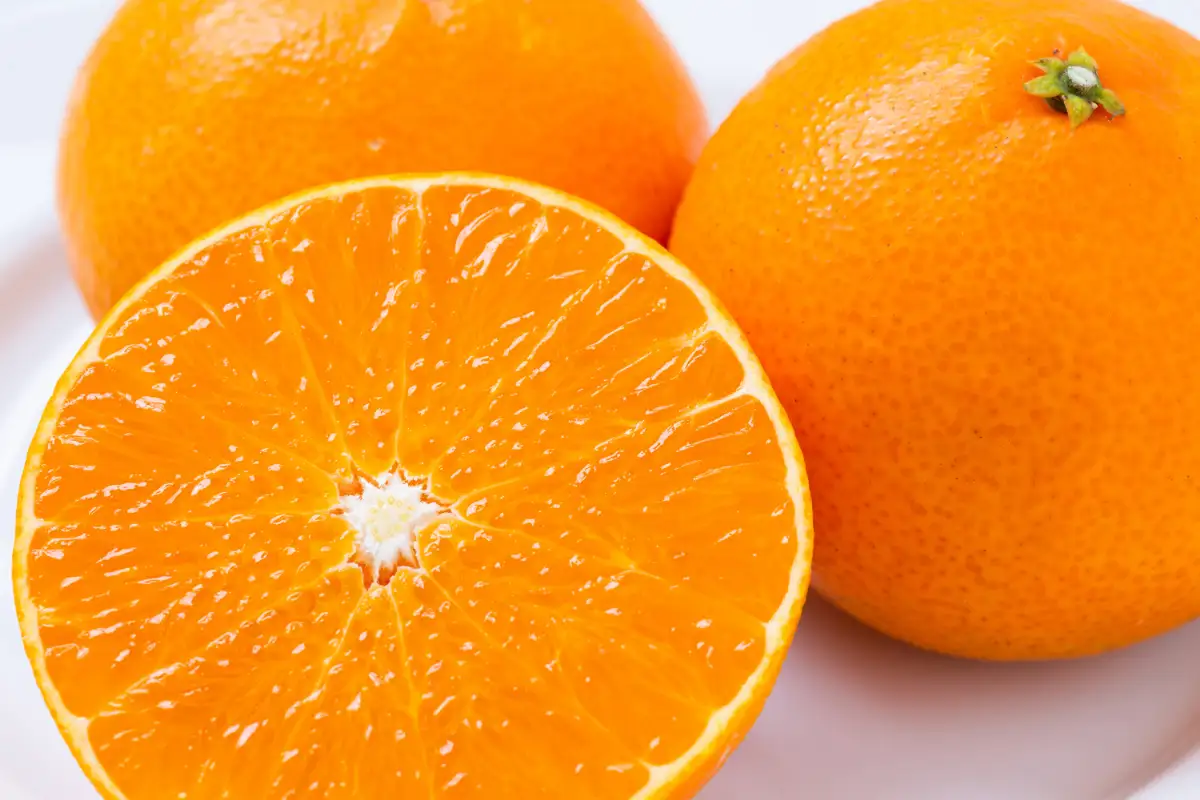 【夕やけブランド】ぷるぷる食感【まどんな】5kg　※紅まどんな と同品種【H49-80】【1621088】 YWTZ065