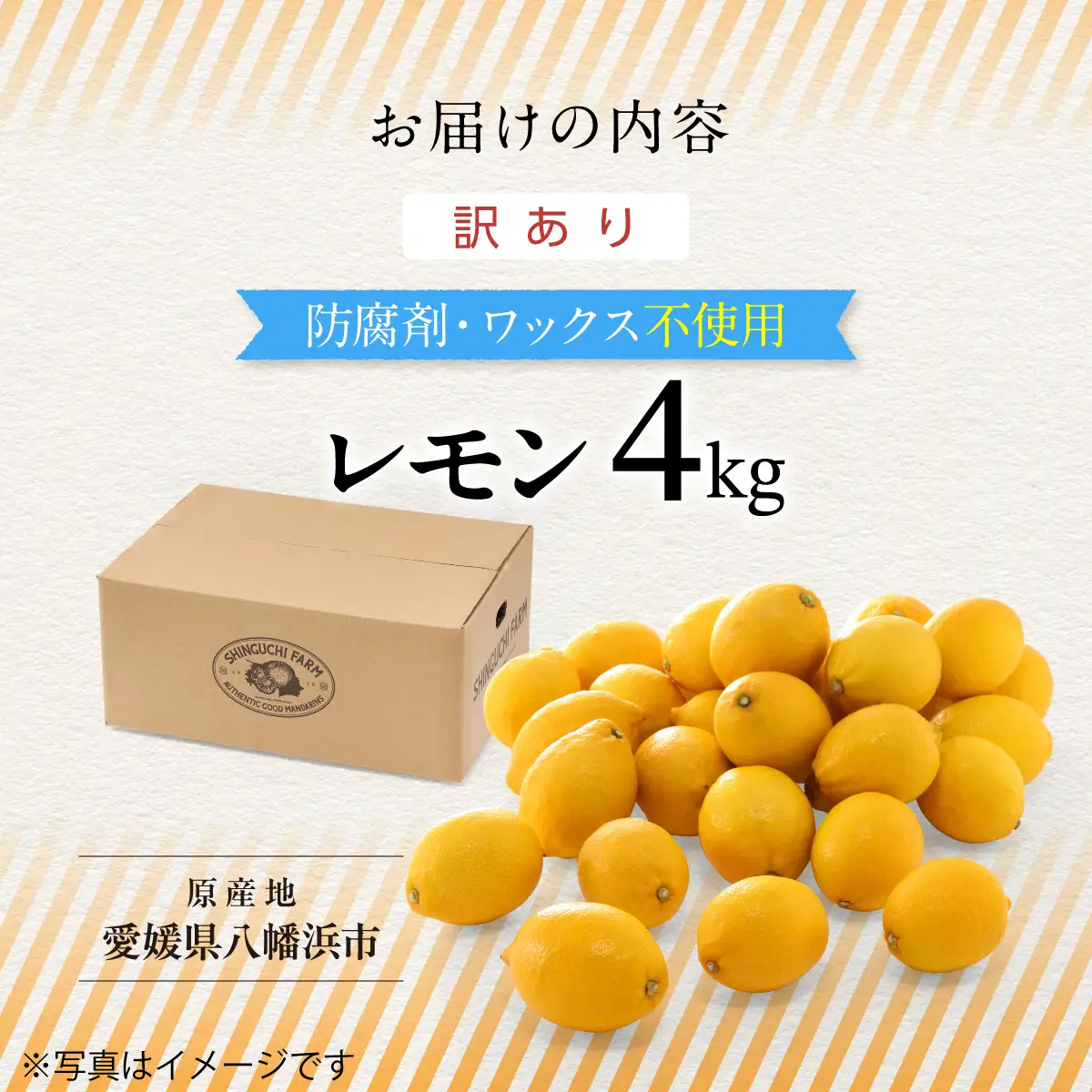 【先行受付 2027年発送】訳あり 愛媛レモン4kg 防腐剤・ワックス不使用【1622582】 YWTK073