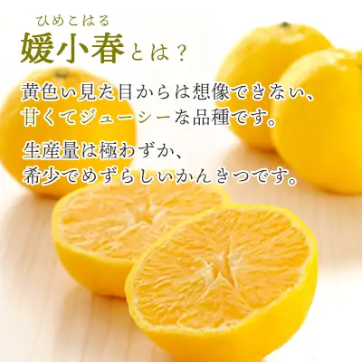 ゲル化剤・pH調整剤不使用!愛媛産 媛小春寒天ゼリー 30本セット【H25-238】【1630020】 YWTAP179