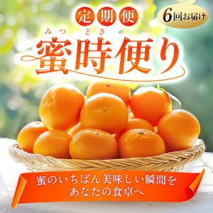 【発送月固定定期便】「蜜時(みつどき)便り」みかんやまどんな、甘平、せとかなど【H64-93】全6回【4069713】 YWTY082