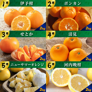 【発送月固定定期便】毎月届く!みかんのカレンダー便　～12ヶ月の旬を旅する～【H31-62】全12回【配送不可地域：離島】【4074244】 YWTAC051