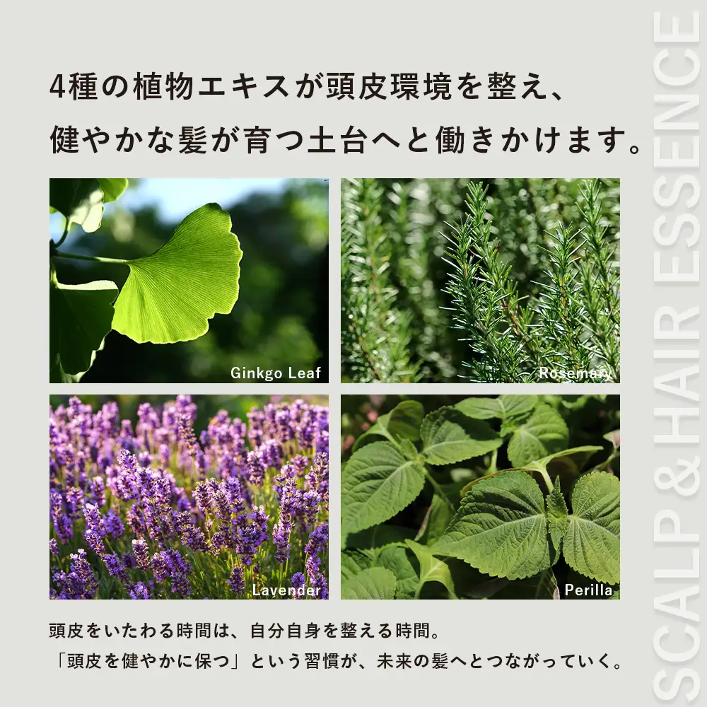 SCALP＆HAIR ESSENCE ライフインブルーム ２本セット（ 50ml＆200ml）VW-3｜スカルプ ヘア ケア 頭皮 髪 エッセンス 植物 エキス 天然 精油 ポータブル リフレッシュ 辺塚だいだい ネロリ たんかん フローラル 鹿児島県 南大隅町 Kruhi Valley and Wind