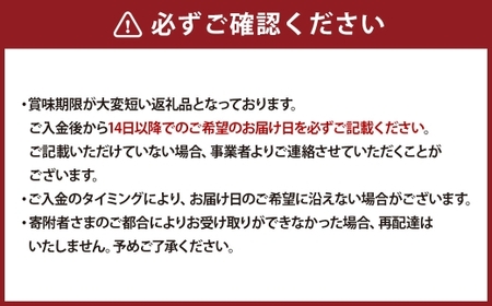 【ふわふわ食感が自慢！】 素材のやさしい甘さを引き立てたこだわりシフォンケーキ 1ホール ／ シフォンケーキ 焼き菓子 おかし お菓子 菓子 洋菓子 焼菓子 スイーツ ケーキ シフォン プレーン