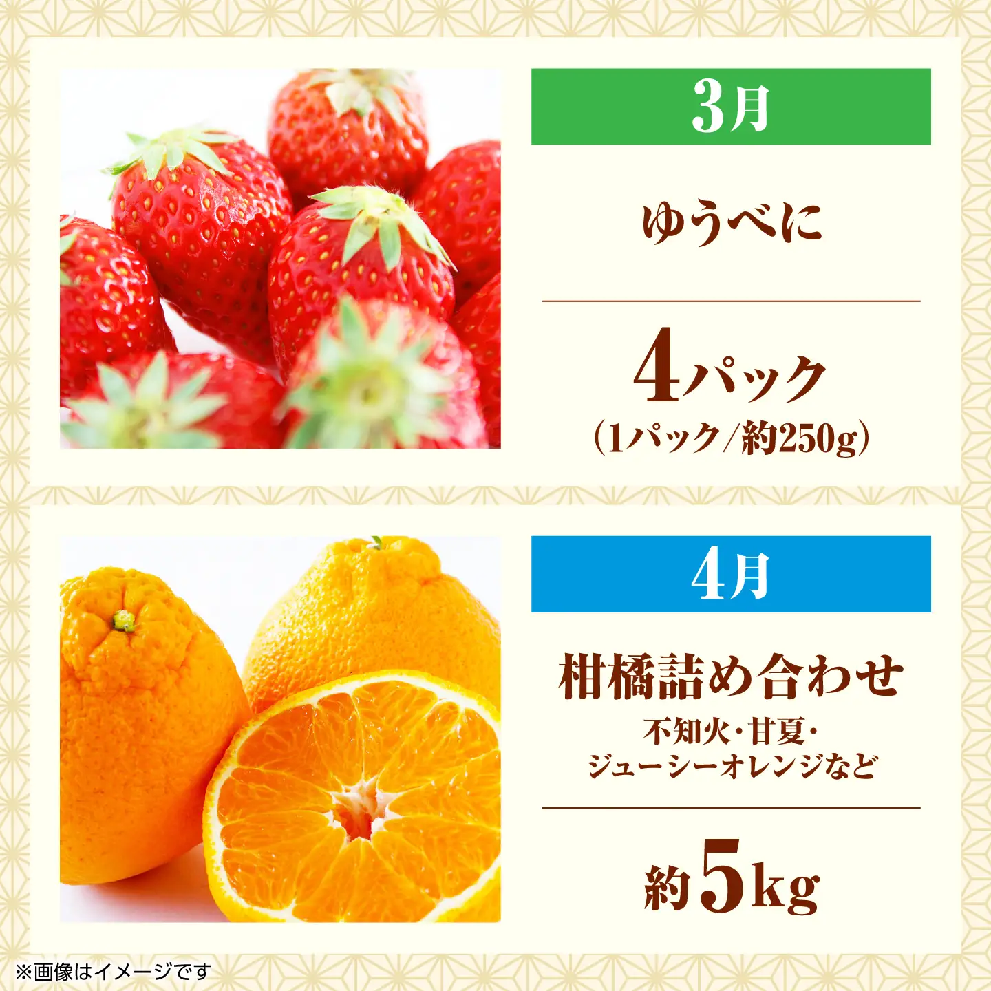 【先行予約】フルーツ6ヶ月定期便　【3月～8月】【くまふる】[ZBG084]