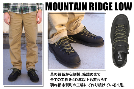 DANNER 紳士靴 マウントリッヂ ロー BLACK【25.0cm】 [STUMPTOWN渋谷店 石川県 志賀町 sk17jkf70292-2]