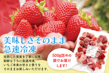 冷凍いちご(いちごさん)3kg(500g×6)(H116231)