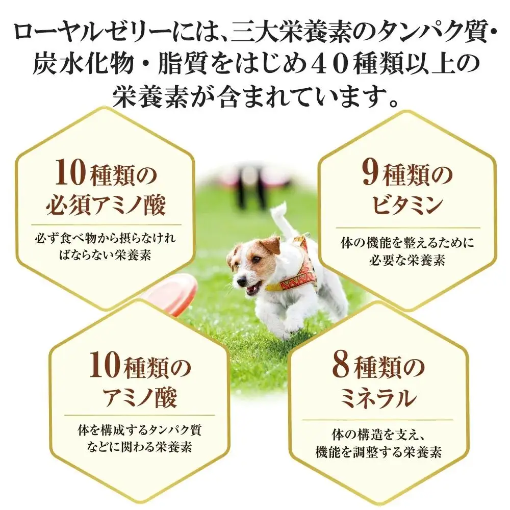 ワンちゃん用ローヤルゼリー〈袋入(60粒)〉（02800）【006-a150】【山田養蜂場】