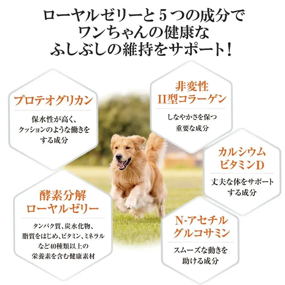 ワンちゃん用グルコサミン〈袋入(60粒)〉（02801）【006-a151】【山田養蜂場】