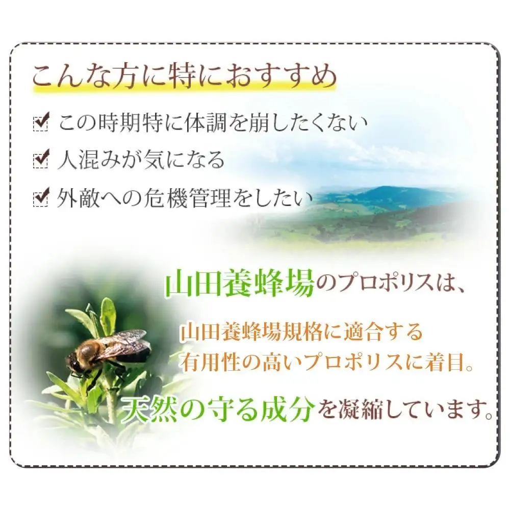 ビーエナジードリンク〈30ml×10本入〉（00136）【006-a144】【山田養蜂場】