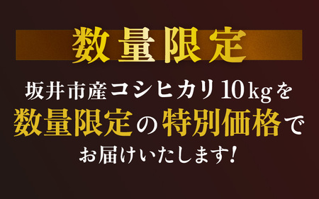 コシヒカリ 10kg 白米 令和7年産 コシヒカリ [B-3258]