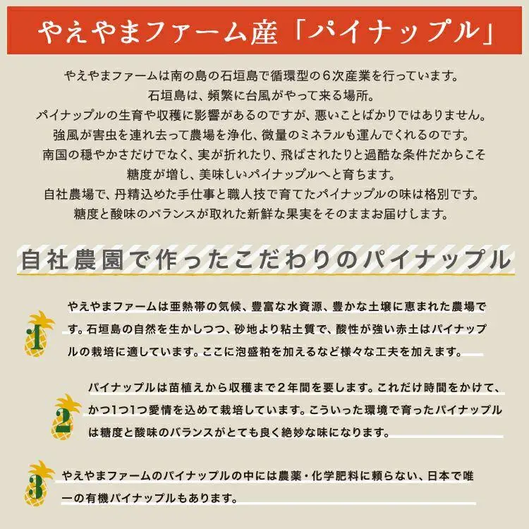 訳あり 石垣島産 有機パイナップル 約2.8kg 2～5玉