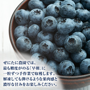 先行予約【朝採り】当日冷凍「北海道ニキブルーベリー」1kg（500g×2）サイズ混載 果物 くだもの 冷凍 フルーツ ブルーベリー 北海道 仁木［ぜにたに農園］