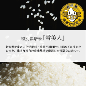 【3ヶ月定期便】魚沼産コシヒカリ 特別栽培 雪美人  5kg  | 津南町 魚沼 令和7年