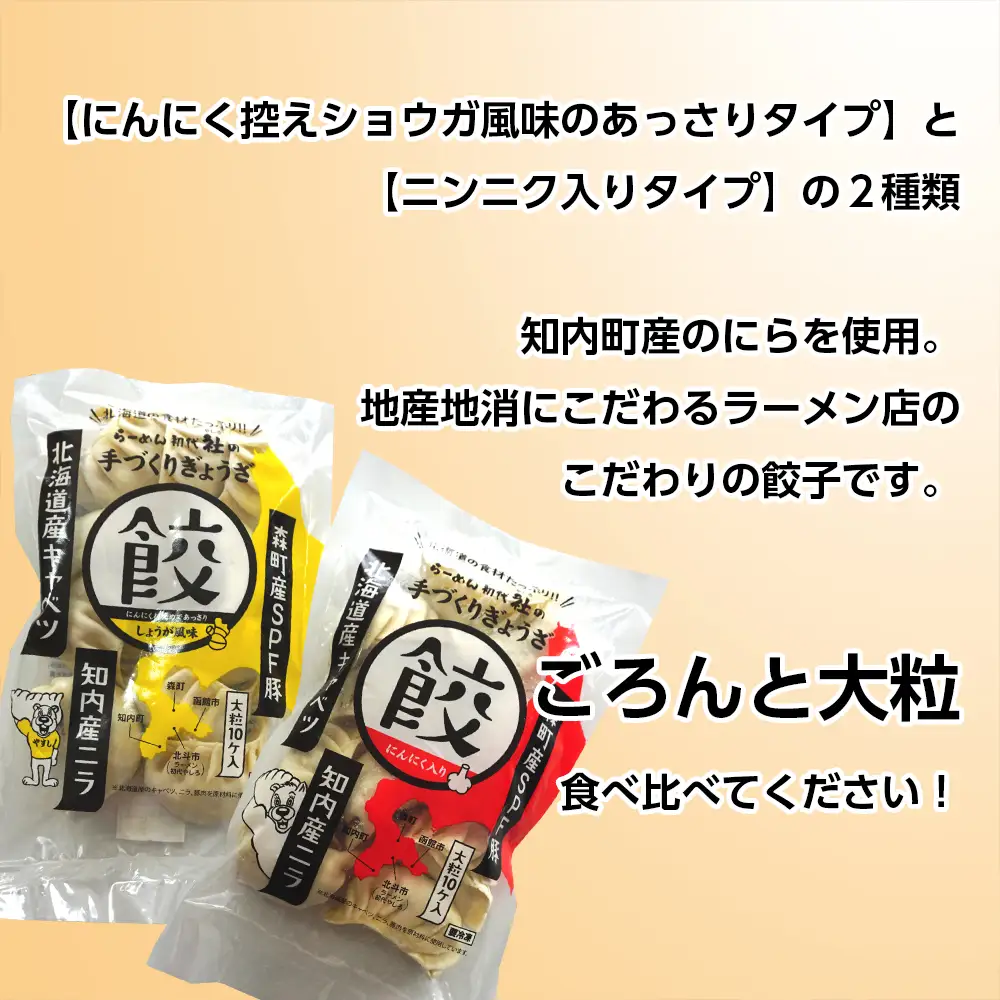 北海道の食材たっぷり！手作り餃子１０袋セット＜スリーエス＞