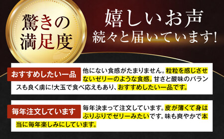 紅まどんな（家庭用）約5kg （24玉-30玉）紅まどんな[AGAO009]