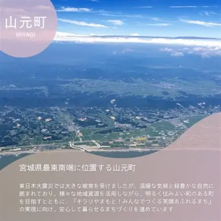 【返礼品なし】山元町への応援寄付 一口1,000円【配送不可地域：離島】